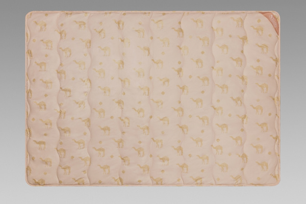 53811c75-aa79-48a6-af12-328b2fa0f9ea